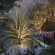 Светильник LTD-DAFNA-GROUND-R130-11W Day4000 (SL, 20 deg, 230V), Arlight, 061186, изображение 2