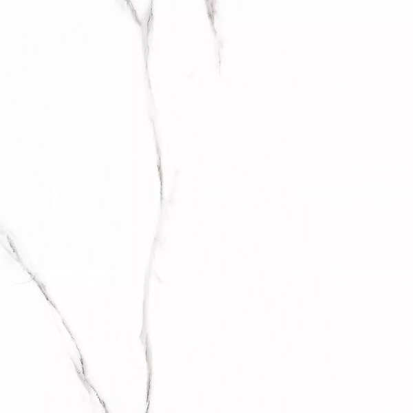 Керамогранит Prime Ceramics Carrara Rect 60x60 Керамогранит Prime Ceramics Carrara Rect 60x60