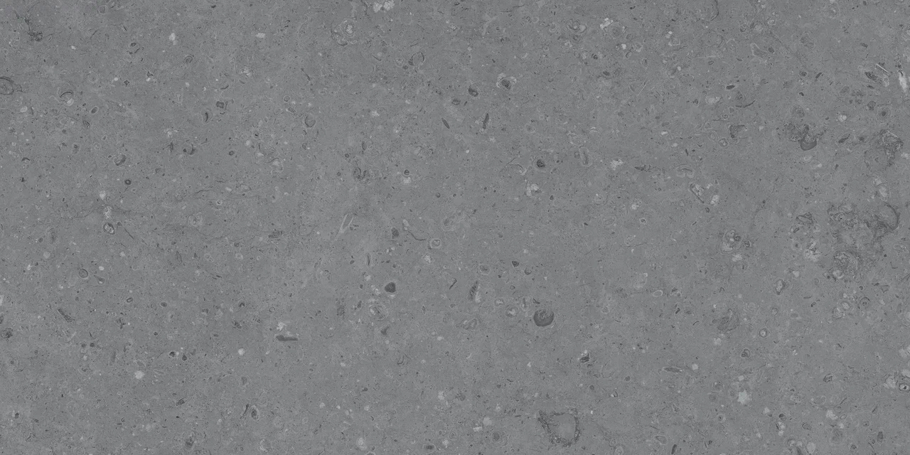 Керамогранит MDetails Cemento Ammonite Grey 60x120 Керамогранит MDetails Cemento Ammonite Grey 60x120