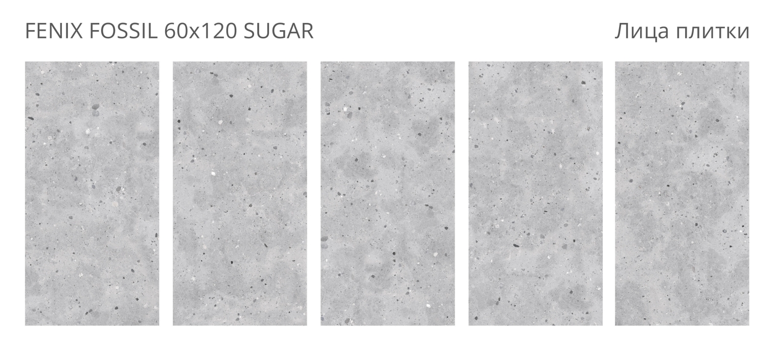 Керамогранит Staro Concreto Fenix Fossil Sugar 60x120 Керамогранит Staro Concreto Fenix Fossil Sugar 60x120