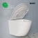 Унитаз с инсталляцией Iddis Basic BASBQ03i73 Унитаз с инсталляцией Iddis Basic BASBQ03i73