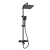 Душевая система WasserKRAFT  A299.255.130.BM T