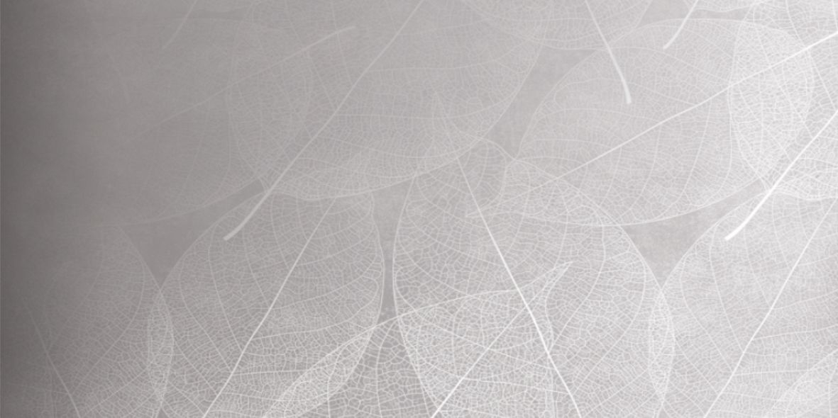 Керамогранит Infinity Ceramica Eleganza Perla Arte Carving 60x120 Керамогранит Infinity Ceramica Eleganza Perla Arte Carving 60x120