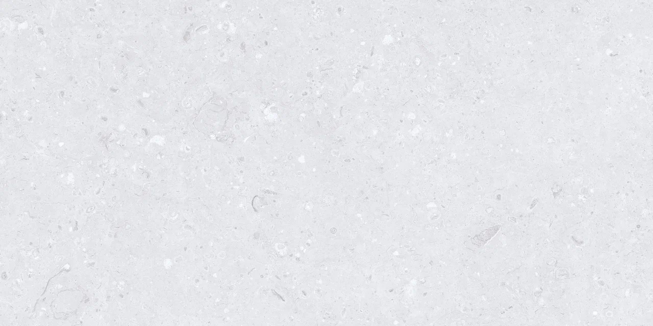 Керамогранит MDetails Cemento Ammonite Silver 60x120 Керамогранит MDetails Cemento Ammonite Silver 60x120