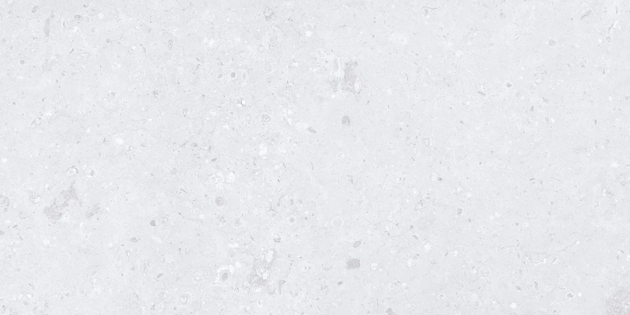 Керамогранит MDetails Cemento Ammonite Silver 60x120 Керамогранит MDetails Cemento Ammonite Silver 60x120