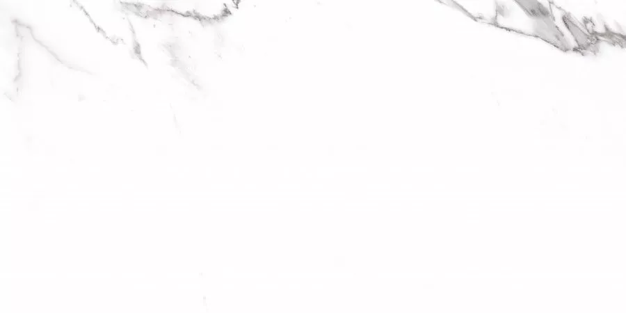 Керамогранит Prime Ceramics Carrara Rect 60x120 Керамогранит Prime Ceramics Carrara Rect 60x120