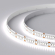 Светодиодная лента RT-A240-10mm 24V White6000 (19.2 W/m, IP20, 3528, 5m), Arlight, 017430(2), изображение 3 Светодиодная лента RT-A240-10mm 24V White6000 (19.2 W/m, IP20, 3528, 5m), Arlight, 017430(2), изображение 3