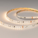 Светодиодная лента DMX-A96-12mm 24V Warm2700-PX12 (14 W/m, IP20, 5m), Arlight, 058174, изображение 1 Светодиодная лента DMX-A96-12mm 24V Warm2700-PX12 (14 W/m, IP20, 5m), Arlight, 058174, изображение 1