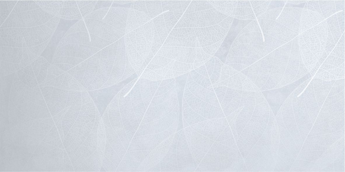 Керамогранит Infinity Ceramica Eleganza Sky Arte Carving 60x120 Керамогранит Infinity Ceramica Eleganza Sky Arte Carving 60x120