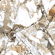 Керамогранит Starotech Polished Makarani Beige 80x240 Керамогранит Starotech Polished Makarani Beige 80x240