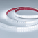 Светодиодная лента герметичная DMX-PS-A96-14mm 24V White6000-PX12 (14 W/m, IP67, 5m), Arlight, 058175, изображение 1 Светодиодная лента герметичная DMX-PS-A96-14mm 24V White6000-PX12 (14 W/m, IP67, 5m), Arlight, 058175, изображение 1