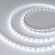 Светодиодная лента RT-A60-8mm 12V White6000 (2 W/m, IP20, 2835, 50m), Arlight, 029752(3), изображение 1 Светодиодная лента RT-A60-8mm 12V White6000 (2 W/m, IP20, 2835, 50m), Arlight, 029752(3), изображение 1