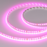 Светодиодная лента RT-A120-8mm 24V Magenta (9.6 W/m, IP20, 2835, 5m), Arlight, 043381 Светодиодная лента RT-A120-8mm 24V Magenta (9.6 W/m, IP20, 2835, 5m), Arlight, 043381