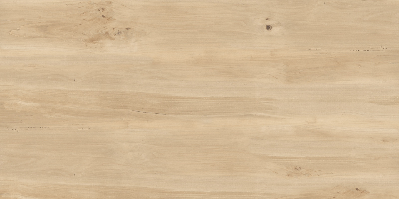 Керамогранит Buono Ceramica Forest Sweet Home Matt 60x120, FVL4511M Керамогранит Buono Ceramica Forest Sweet Home Matt 60x120, FVL4511M