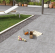 Керамогранит Maimoon Ceramica Outdoor Rock Gris 60x60 Керамогранит Maimoon Ceramica Outdoor Rock Gris 60x60