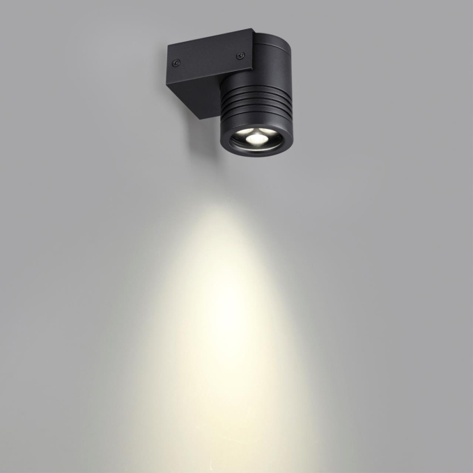 Фасадный светильник IP67 LED CREE 6W 4000K 30° AC85-265V STIMA NATURE ODL24 000 ODEON LIGHT 6648/6WL, фото на цветном фоне 1