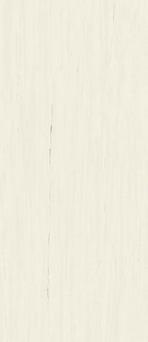 Керамогранит Atlas Concorde Marvel Stone Bianco Dolomite 120x278, A2RS Керамогранит Atlas Concorde Marvel Stone Bianco Dolomite 120x278, A2RS