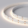 Светодиодная лента RT6-3528-240 24V Day4000 4x (1200 LED), Arlight, 017431, изображение 5 Светодиодная лента RT6-3528-240 24V Day4000 4x (1200 LED), Arlight, 017431, изображение 5