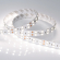 Светодиодная лента RT 2-5000 24V Day4000 2x2 (5060, 600 LED, LUX), Arlight, 013759, изображение 4 Светодиодная лента RT 2-5000 24V Day4000 2x2 (5060, 600 LED, LUX), Arlight, 013759, изображение 4
