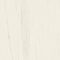 Керамогранит Atlas Concorde Marvel Stone Bianco Dolomite 160x160, AO53 Керамогранит Atlas Concorde Marvel Stone Bianco Dolomite 160x160, AO53