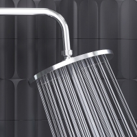 Тропический душ (лейка) Damixa Jupiter 977050000 хром Тропический душ (лейка) Damixa Jupiter 977050000 хром