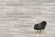 Керамогранит Vitra Aspenwood Норковый Матовый R10A 20x120, K945696R Керамогранит Vitra Aspenwood Норковый Матовый R10A 20x120, K945696R