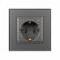 Розетка электрическая с Zigbee управлением SCT-OMALI-EUZB1-PL-GR (240V, 16A, Zigbee), Arlight, 050101, изображение 2 Розетка электрическая с Zigbee управлением SCT-OMALI-EUZB1-PL-GR (240V, 16A, Zigbee), Arlight, 050101, изображение 2