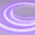 Светодиодная лента RT-A120-8mm 24V Violet (9.6 W/m, IP20, 2835, 5m), Arlight, 043384