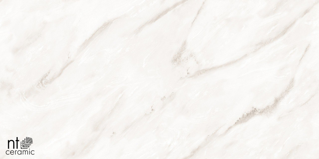 Керамогранит NT Ceramic Marmo Empire Pearl Endless 60x120, NTT99525P