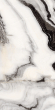 Керамогранит Artcer Marble Bianco Lasa Poli 60x120 Керамогранит Artcer Marble Bianco Lasa Poli 60x120