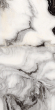 Керамогранит Artcer Marble Bianco Lasa Poli 60x120 Керамогранит Artcer Marble Bianco Lasa Poli 60x120